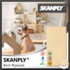 SKANPLY® - Birch Plywood | Plywood Mewah, 100% Birch Plywood Asli Skandinavia