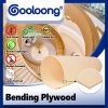 Gooloong® - Bending Plywood | Triplek Fleksibel, Digulung Hingga 360 Derajat Tanpa Patah!